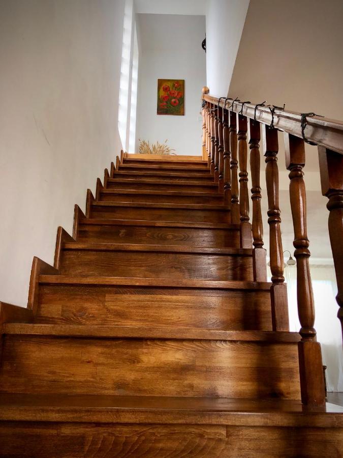 Casa Paunescu Milostea Экстерьер фото