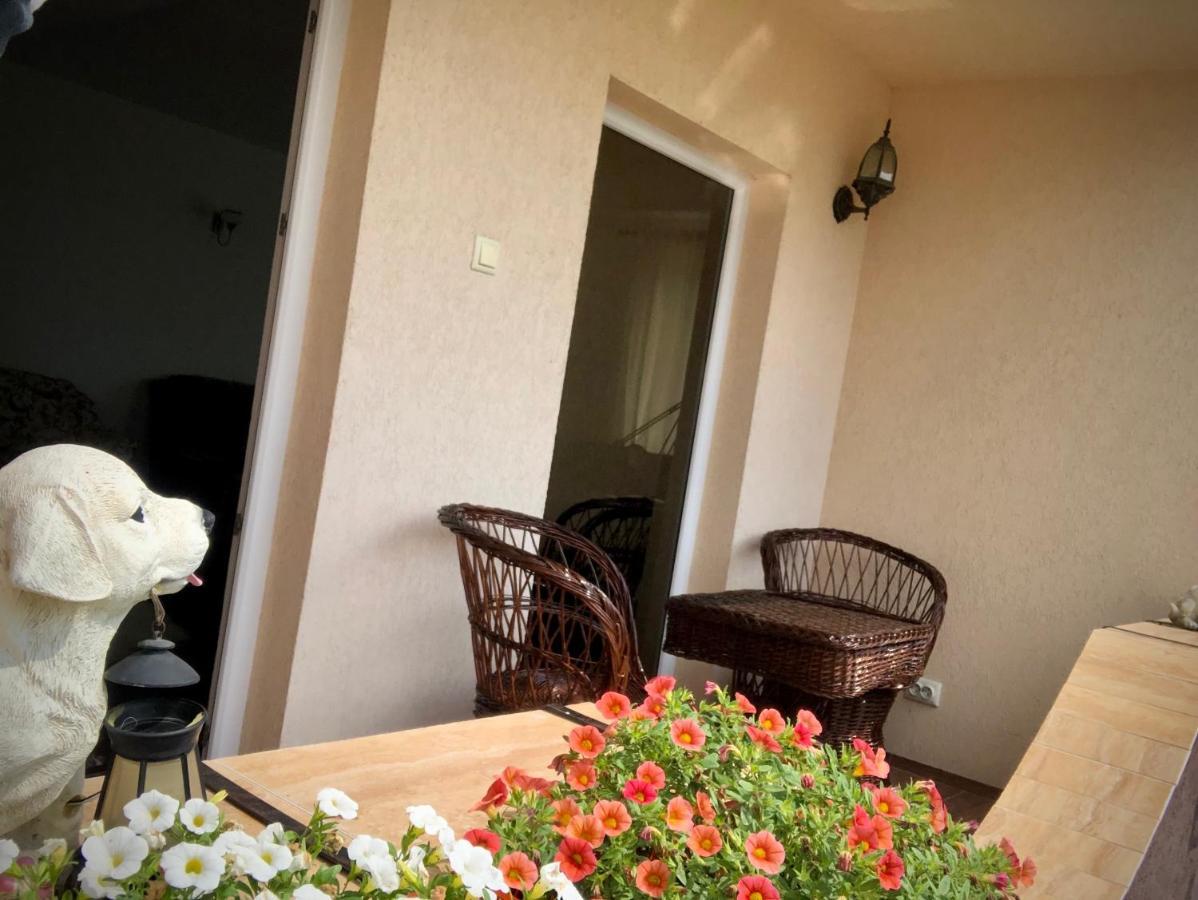 Casa Paunescu Milostea Экстерьер фото